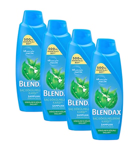 Blendax Dökülmeye Eğilimli Saçlar İçin Şampuan 500 ml 4 lü