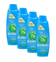Blendax Dökülmeye Eğilimli Saçlar İçin Şampuan 500 ml 4 lü