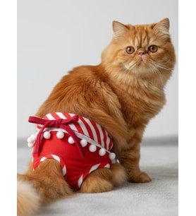 Frilly Red Dişi Kedi Regl Külotu  Kedi Donu  Kedi İç Çamaşırı  Ayarlanabilir Bağcıklı  Küçük Irklar İçin (Kırmızı)