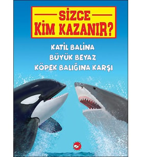 Sizce Kim Kazanır? Katil Balina Büyük Beyaz Köpek Balığına Karşı