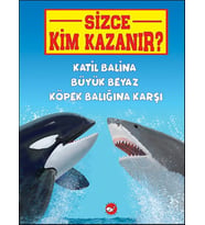 Sizce Kim Kazanır? Katil Balina Büyük Beyaz Köpek Balığına Karşı