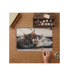 Kardeş Yavru Kediler Tasarımı 240 parça Ahşap Puzzle Ahşap Kutuda MP10171