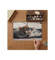 Kardeş Yavru Kediler Tasarımı 240 parça Ahşap Puzzle Ahşap Kutuda MP10171