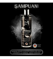 Erkek Miami Kokusu Doğal Keratin Kolajen Dökülme Kopma Karşıtı 375 Ml Şampuan