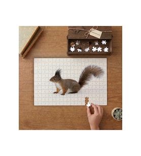Sevimli Sincap Tasarımı 240 parça Ahşap Puzzle Ahşap Kutuda MP03591