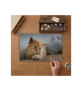 Mavi Gözlü Sarı Yavru Kedi Tasarımı 240 parça Ahşap Puzzle Ahşap Kutuda MP05210