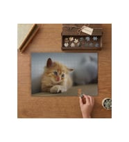 Mavi Gözlü Sarı Yavru Kedi Tasarımı 240 parça Ahşap Puzzle Ahşap Kutuda MP05210