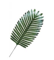 Yaprak palmiye modeli 35 cm pk:5-
