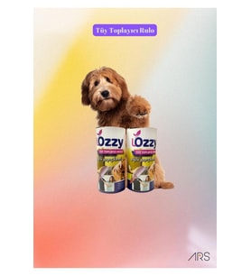 Lozzy Tüy Toplama Yedek Rulosu 2'li Paket