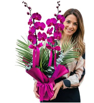 Özel Tasarım Çift Dallı Mor Orkide Fenix ve Okaliptus Yapraklı Phalaenopsis
