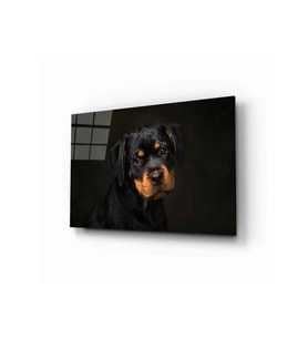 Miyrem Glasses Collection -A1^#  Köpek 6 Cam Tablo (Çok Renkli)