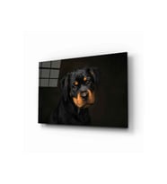 Miyrem Glasses Collection -A1^#  Köpek 6 Cam Tablo (Çok Renkli)
