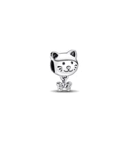Fubena Kedi Charm