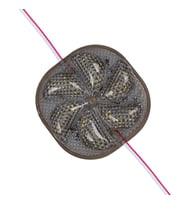 Powermaster 12 Volt 3 Watt Soğuk Beyaz Yanıp Sönen 6565-2835 Modül Led