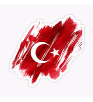 Turkey Türkiye Bayrak Sticker oto Etiket Araba Yapıştırma 17CM