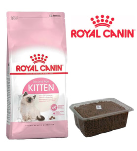 Royal Canin Kitten 36 Yavru Kedi Maması Mama 4 Kg (ZİLLİ TASMA HEDİYELİ) SKT:05/2027