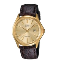 Casio CSISTE234 Erkek Kol Saati