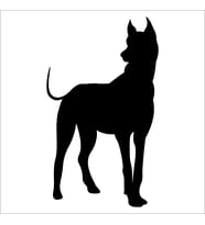 KÖPEK FOLYO STİCKER DERSTV885 160cm Uzunluk (Karışık)