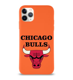 Apple iPhone 11 Pro Max  Lansman Kılıf Chicago Bulls Tasarımlı Altı Kapalı İçi Kadife Kaplı  Kapak (Şeffaf)