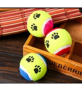 At Getir Köpek Eğitim Topu (5343)
