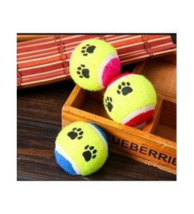 At Getir Köpek Eğitim Topu (5343)