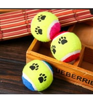 At Getir Köpek Eğitim Topu (5343)