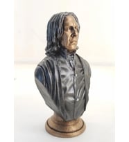 Polyester Snape Büst Küçük 243