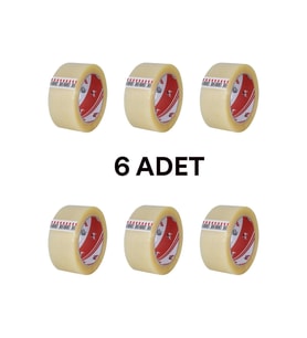 Vege Koli Bandı 45X100 Şeffaf (Aslan) 6 adet