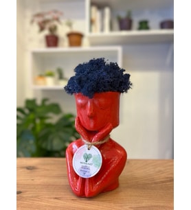 Kırmızı Afro Moss , Hediyelik, Dekor, Dekoratif Hediyelik Mini Biblo