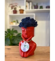 Kırmızı Afro Moss , Hediyelik, Dekor, Dekoratif Hediyelik Mini Biblo
