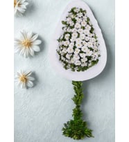 Beyaz Gerberalarla Süslenmiş Tek Ayaklı Çelenk