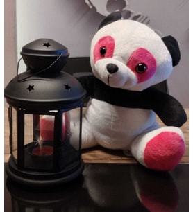 Pembe Gözlü Panda Peluş 24cm (Beyaz-Pembe)