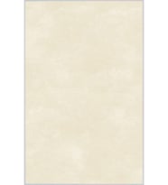 Eliana Home Baskılı, Yıkanabilir Kaymaz Taban Salon Halısı LNA1084 100x150 cm (Krem)
