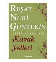 KAVAK YELLERİ