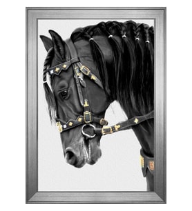 Hayvanlar Temalı Kanvas Tablo 80 x 110 cm Silver Çerçeve