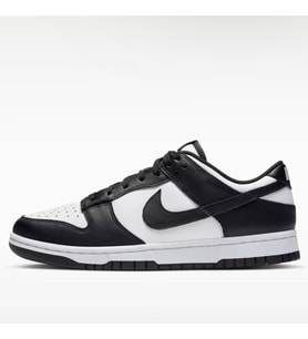 Nike Dunk Low Retro Erkek Spor Ayakkabı