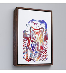 Çerçeveli Suluboya Diş Anatomisi Tablosu (Altın)