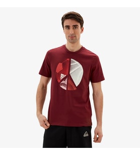 adidas HE4820 Multiplicity Graphic Erkek Bordo Spor Tişört