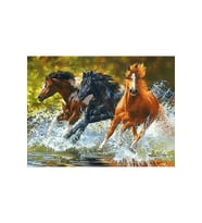 Koşan Atlar Sticker(Çerçeveli) 60x75 Sayılarla Boyama Hobi Seti