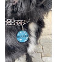 Büyük Irk Köpek Künyesi/ İsimliği