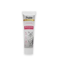 SAO Multi-Vitamin Taurinli Malt Kedi Macunu 100gr