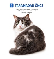 Kedi Köpek Tarağı - Evcil Hayvan Tüy Toplama Tarağı - Metal Uçlu
