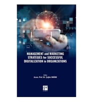 Management and Marketing Strategies for Successful Digitalization in Organizations