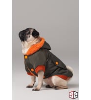 Köpek Kıyafeti - Forest Design Su Geçirmez Köpek Montu, Köpek Yağmjrluğu (Haki)