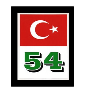 Türkiye Bayraklı Sakarya 54 Plaka Kodu Ön Cam Sticker