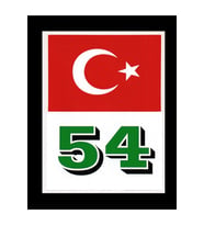 Türkiye Bayraklı Sakarya 54 Plaka Kodu Ön Cam Sticker
