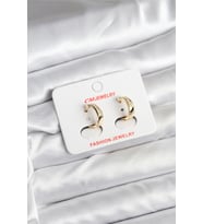 14K Gold Renk Kaplama CM Kadın Küpe - TJ-BKP11401
