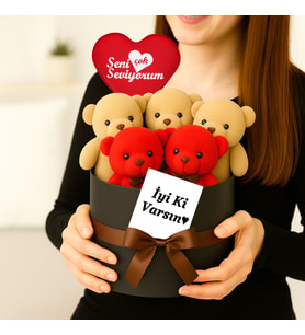 Ayıcık Buketi 5 Adet Kırmızı & Krem Peluş Ayıcık Buketi Seni SeviyorumHediyesi Hediye Kutusu  Aşk Dolu Kırmızı Peluş Ayıcık Buketi Kutusu -İyi Ki Varsın Mesajlı Hediye Seti