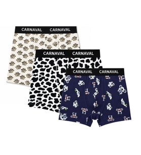 Carnaval Lazy Friends Erkek Boxer 3’lü Set