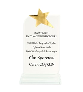 Kristal cam Plaket Beyaz Oval Dikdörtgen Yıldızlı